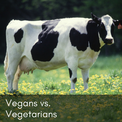 Vegans vs. Vegetarian