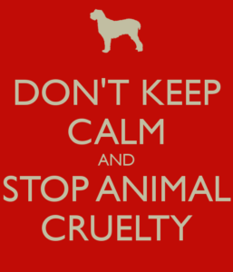 don-t-keep-calm-and-stop-animal-cruelty-3